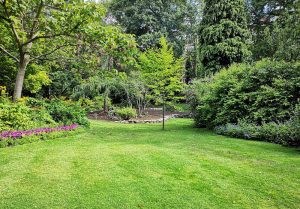 Optimiser l'expérience du jardin à Attigny
